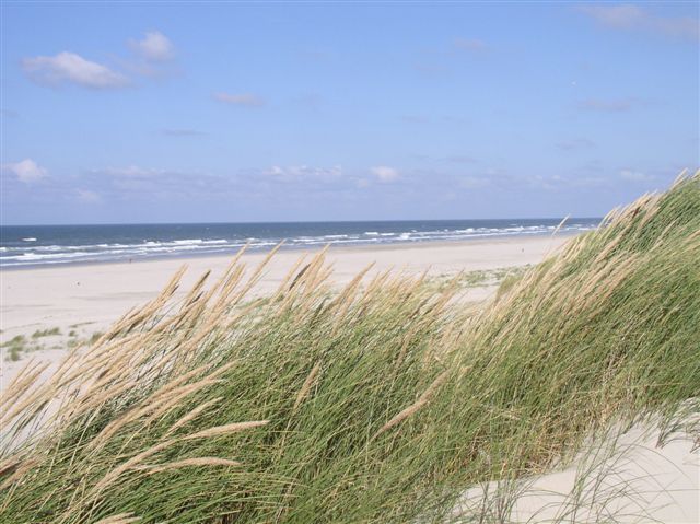 Paal 18 bij Oosterend